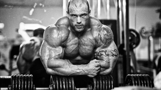 Synthol curso: Todo lo que necesitas saber