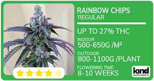 Cannabis Seeds Hawaii Your Guide to Cultivation and Selection Cannabis Seeds Hawaii Your Guide to Cultivation and Selection